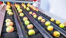 Conveyor belt